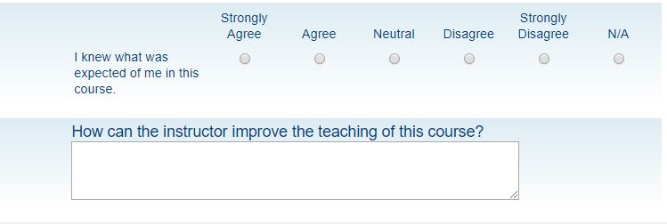 Student Ratings Questionnaire Example