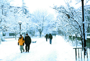 students on a snowy campus