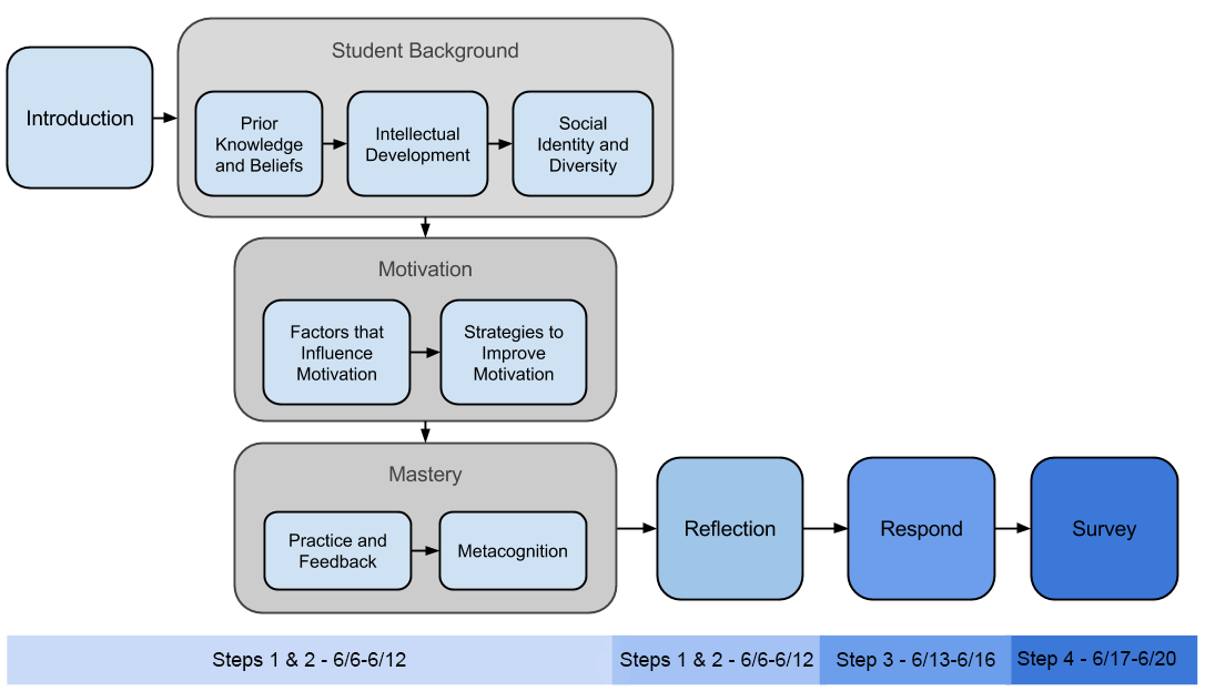 Flow Chart from introduction-> student background -> motivation ->mastery -> reflection -> respond -> survey 