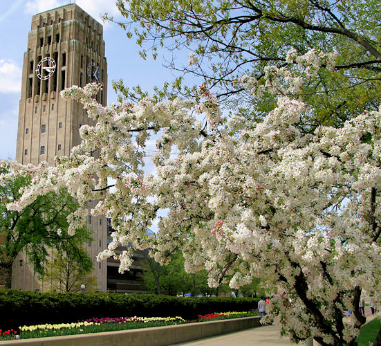 Diag in the Summer