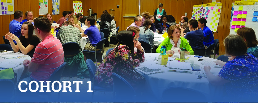 Cohort 1 at the Course Design Institute