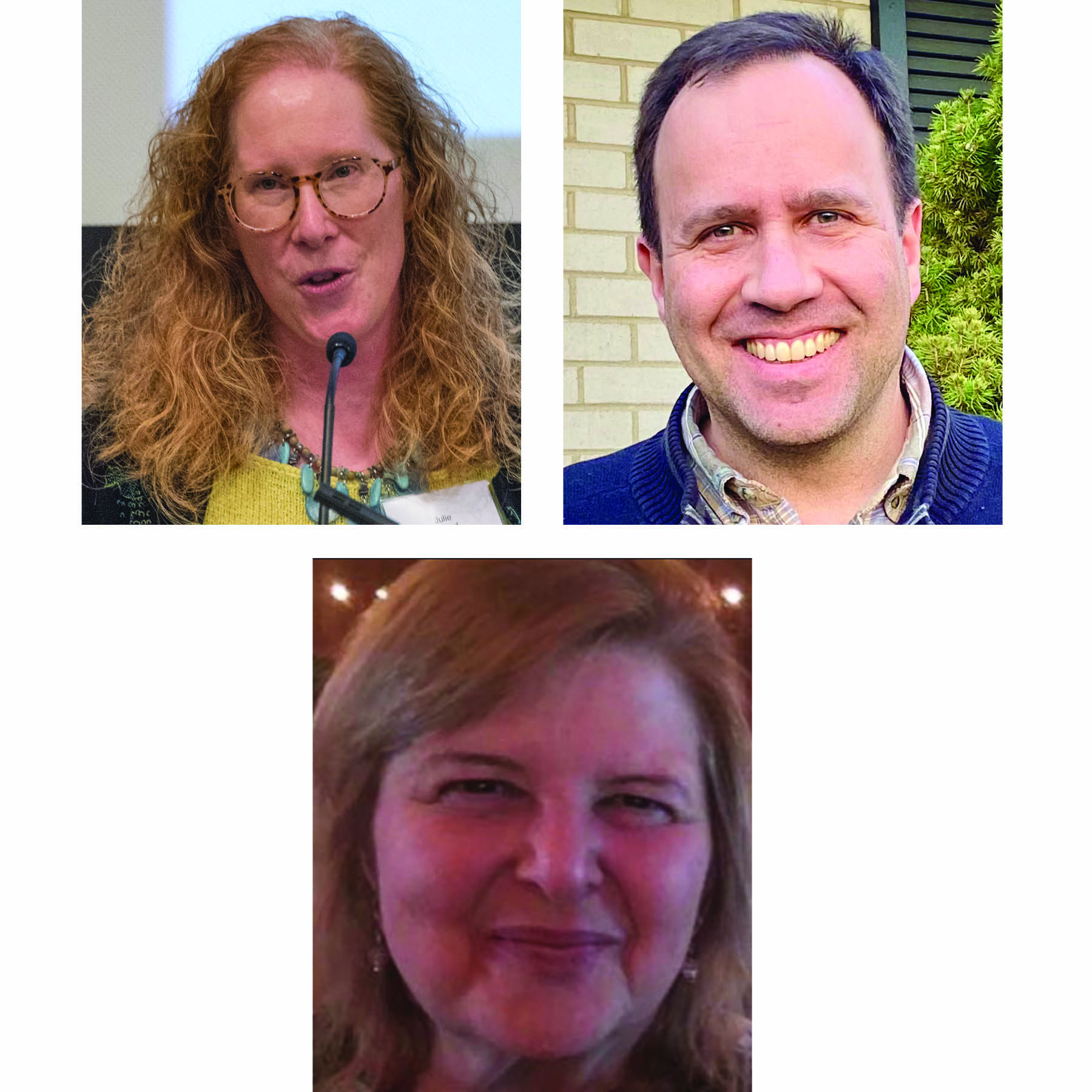 Julie Boland, Joshua Rabinowitz, Colleen Seifert